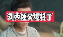 爆料娱乐圈的刘大锤是谁,刘大锤的真实身份大起底